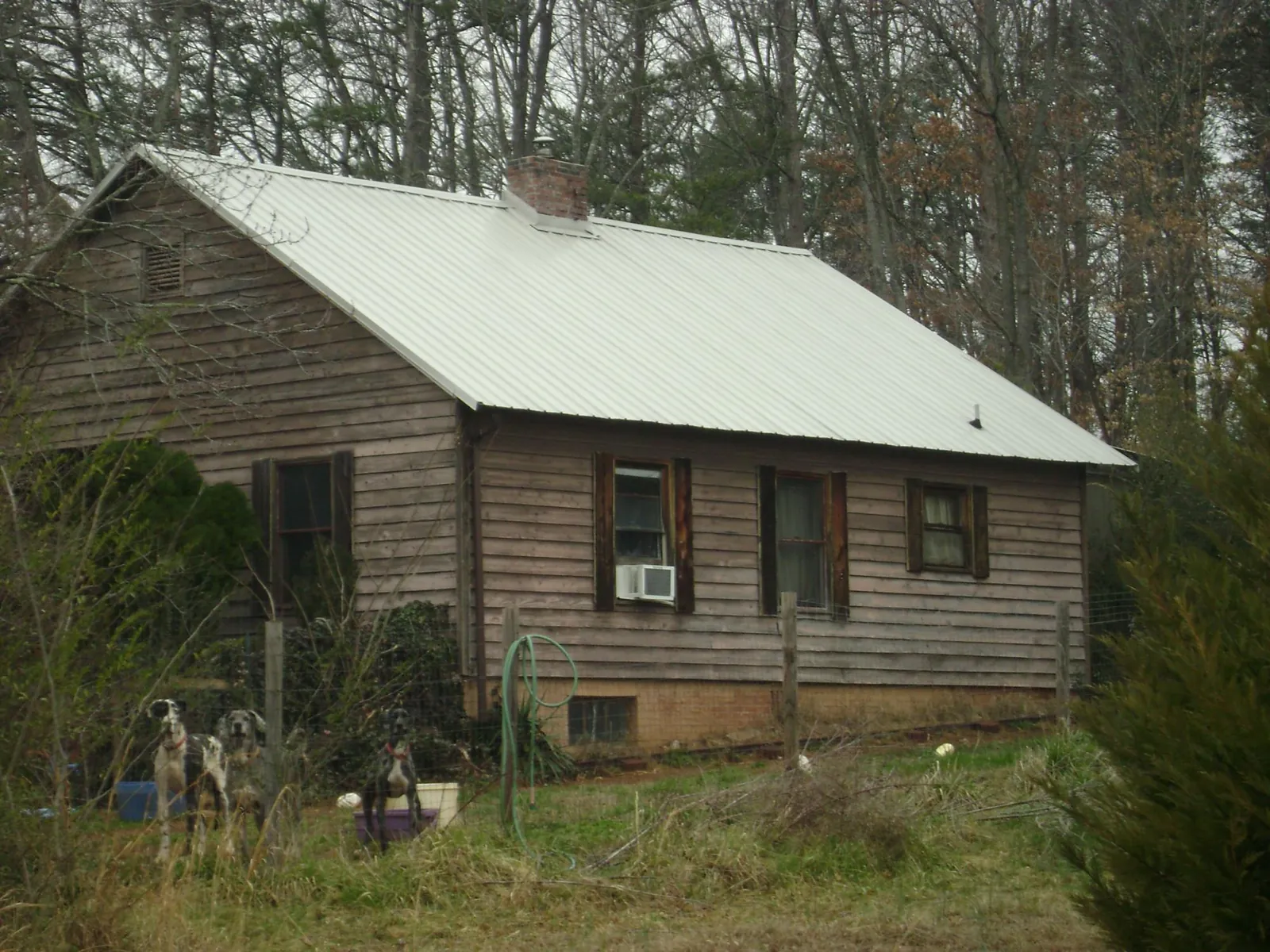 White metal roof on an old wood sided farmhouse, from a Asphalt Shingle Roof Repair job in Bearcreek